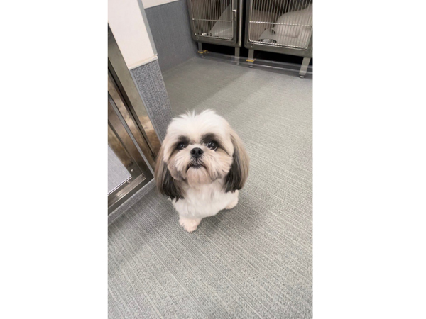 生徒が撮影したモデル犬♪～PART①～